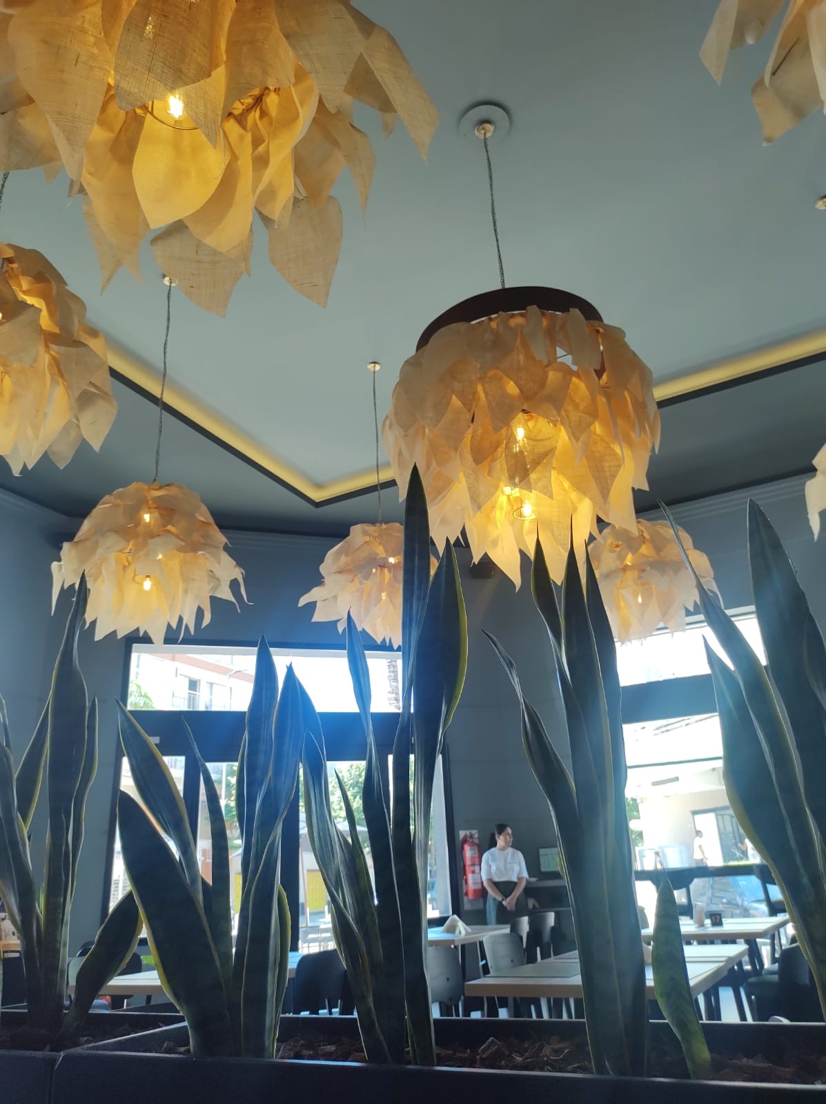 COLADA - Imagen 5