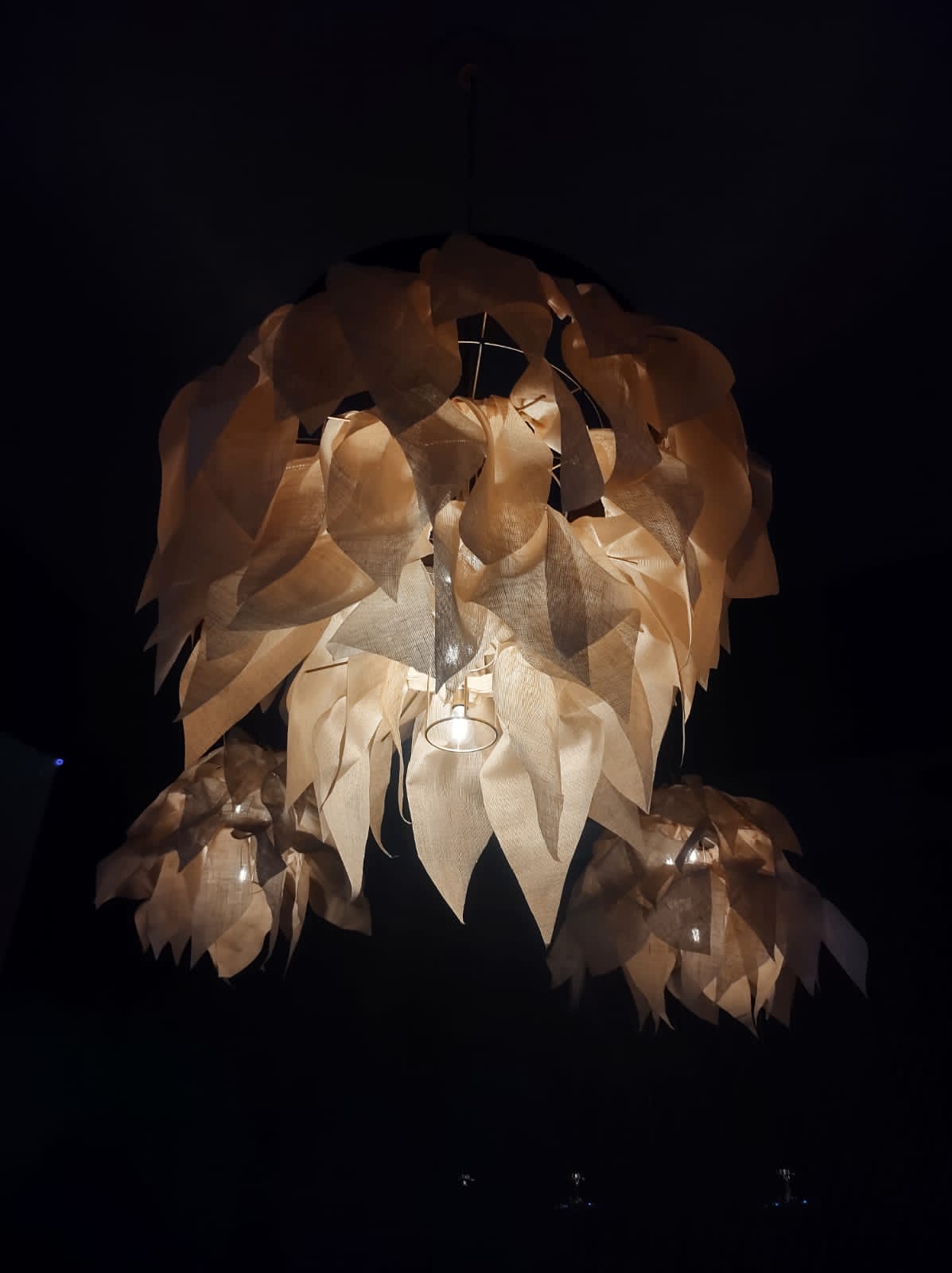PIÑA - Imagen 4