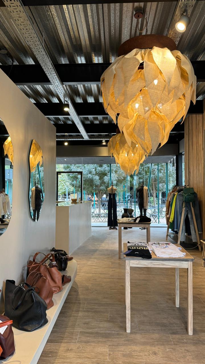 PIÑA - Imagen 6
